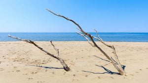 Lire la suite à propos de l’article Les 5 meilleures plages naturistes à Marseille