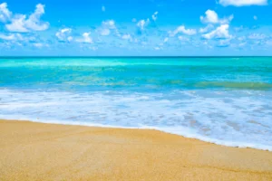 Lire la suite à propos de l’article Quelles sont les plages Pavillon Bleu dans les Bouches-du-Rhône en 2023 ?